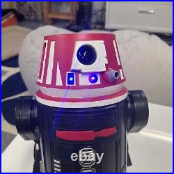 Disney Star Wars Galaxy's Edge Droid Depot C-series Astromech Bag Remote & Chip